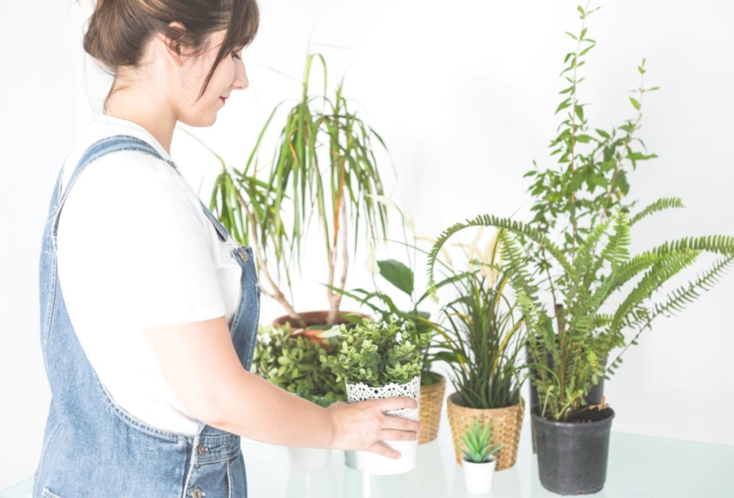 Climate-controlled flower storage facility with monitoring systems